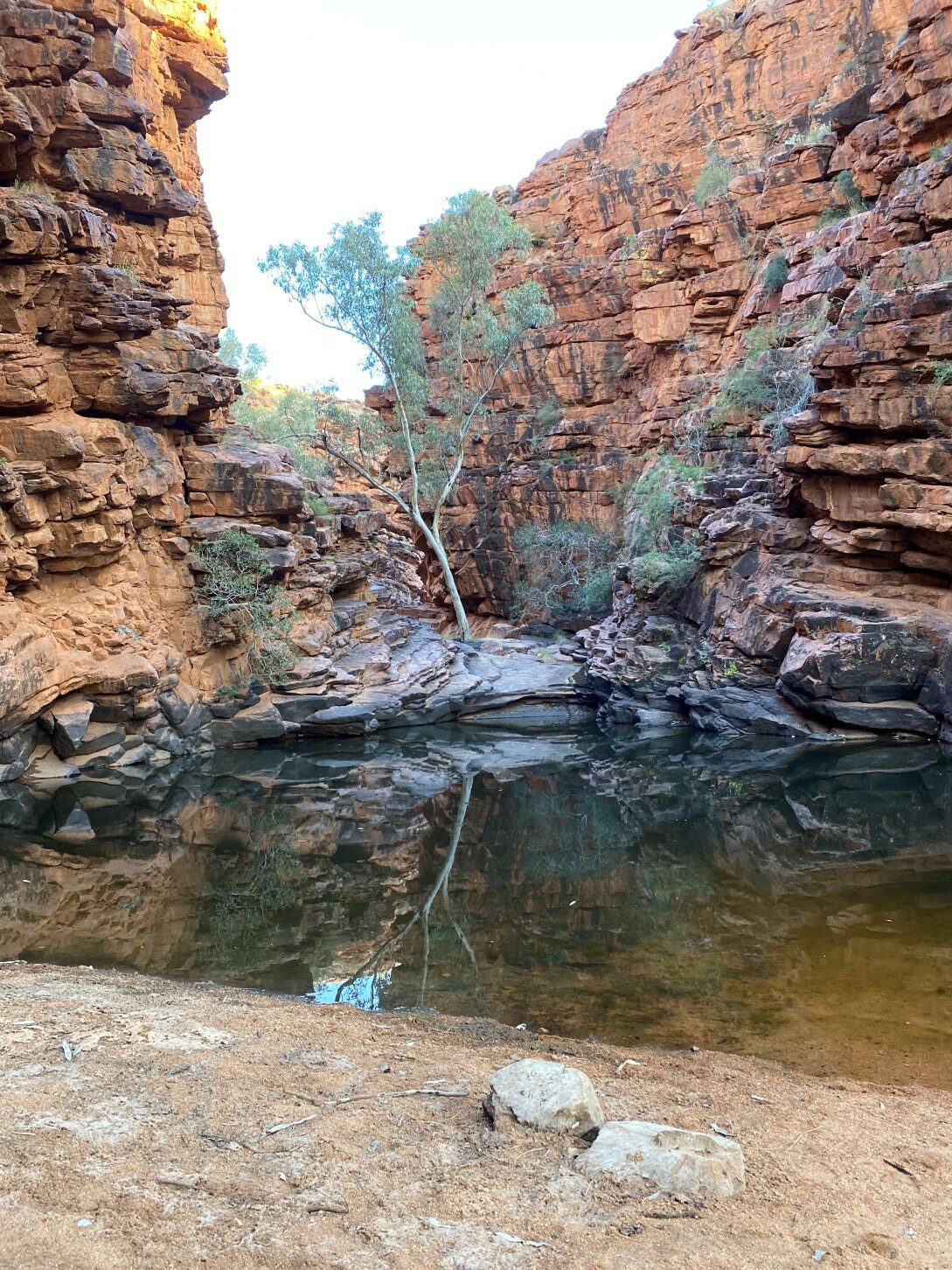 East MacDonell Ranges Watering Hole
