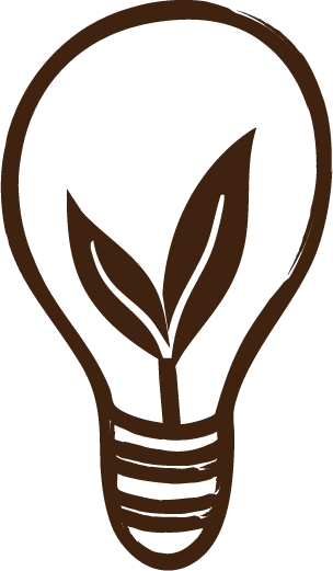 Nature Insights Ready To Launch Icon Brown - Nature Insights A glowing lightbulb with a small leaf sprouting from its base, or a seed germinating with a tiny green shoot, symbolizing insight, new beginnings, creativity, and growth.