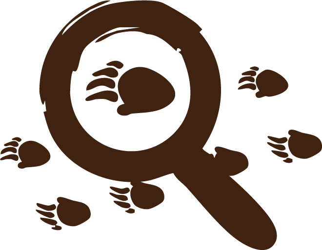 Nature Insights Student Icon Brown - Nature Insights A stylized magnifying glass over a leaf, and animal foot prints with a leaf. (Represents learning, exploration, and discovery in nature.)